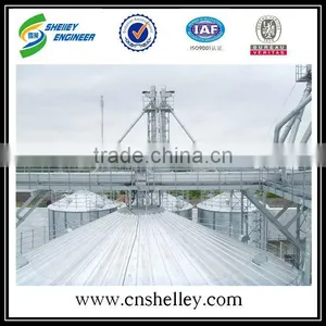 Peanut Grain Chain Conveyor for Sale thumbnail-4