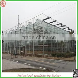 Hot Sale 9.6m Multi-span Agriculture Glass Greenhouse Grow Tent for Planting thumbnail-1