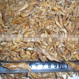 High Nutrition Freshwater Dried Shrimp // Turtle Food Shrimp thumbnail-3