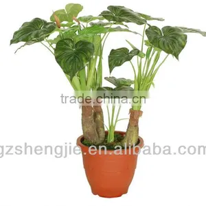 GuangZhou SJ Artificial Plant for Home Decoration thumbnail-1