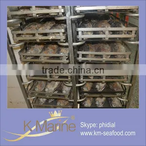 Professional Manufacture Supply 1kg up Raw Size Frozen Skipjack Loin thumbnail-1
