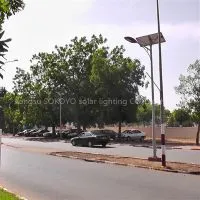 Hot Sale Gel Battery Solar Farm Led Lamp thumbnail-1