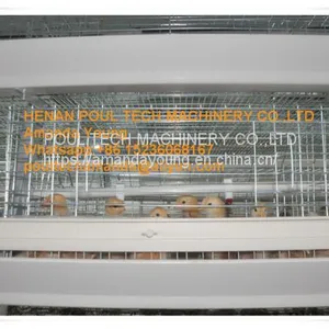 Ecuador Poultry Farming Baby Chick Cage & A Frame Automatic Small Chicken Cage & Pullet Coop With Feed Trough for 5000 Chicks in Chicken Shed thumbnail-1