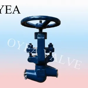 ANSI GB High Pressure Power Station Globe Valve thumbnail-1