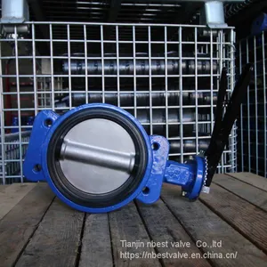 Marine Semi-lug Butterfly Valve DN100 With Lever thumbnail-2