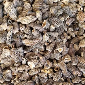 Factory Price Premium Quality Chinese Wild Dried Morel Mushroom Whole Without Fully Stem (1-3CM) thumbnail-1