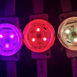 30mm Waterproof Ip65 SMD3535 24V RGB D30 Dot Light For Landscape Lamp thumbnail-5