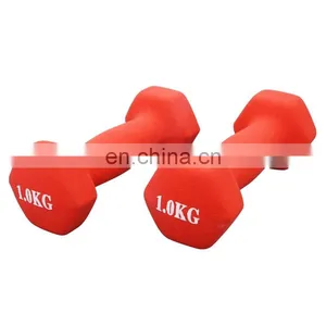 Workout Dumbbells Custom Color Plastic Coated Small Dumbbell Dip Plastic Dumbbells thumbnail-2