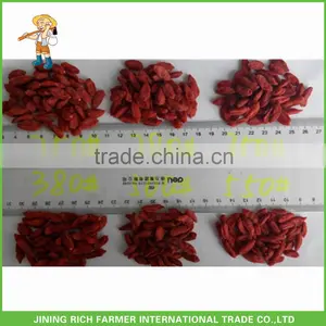 Dried Goji Berry 180Grains/50G thumbnail-1