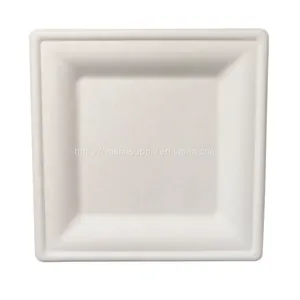 6'' 8''10'' Square Sugarcane Bagasse Plates China Supplier Wholesale Biodegradable Compostable Microwave and Freezer Safe thumbnail-1