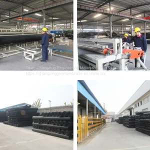 Earthing Products Plastic PP Biaxial Geogrid Price for Road Soil Stabilizer thumbnail-4