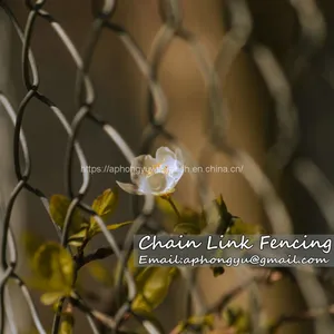 Galvanized Chain Link Fence Chainlink Fence Chain-link Chainlinkfencing Securityfence Commercialfecne Industrialfence Residentialfence thumbnail-3