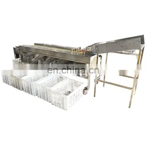 Fruit and Vegetable Sorting and Grading Machine,products Sizer,fruit Sorting and Grading Machine. thumbnail-3
