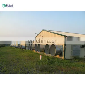 Small Automatic Farm Poultry House Sheds Chicken Farm for Eggs thumbnail-1