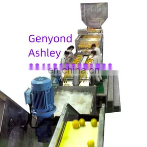 Orange Juice Lemon Juice Concentrate Production Line Processing Equipment Turn-key Project thumbnail-1