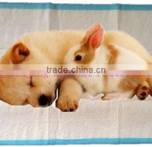 Disposable Pet Training Pad, Pet Pee Pad thumbnail-1