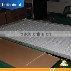 Big Size Backlight Led Strip Smd3030 for Advertising Light Box thumbnail-2