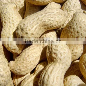 LU HUA PEANUT IN SHELL thumbnail-1