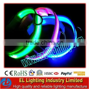 Led Safety Pet Collar and Chain thumbnail-1