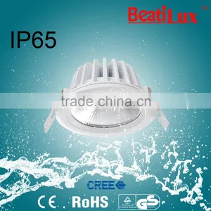 9W/15W Ip65 Smd Led Downlight thumbnail-4