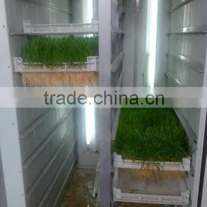 Green Farm Poultry Fodder Breeding Room thumbnail-2