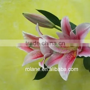 Promotional 2016 New Wedding Bouquet Fresh Pink Lilies From Kunming thumbnail-1