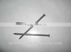 Common Iron Wire Nail/Round Nail With Factory Price thumbnail-1