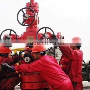 API Standard Oil and Gas Production Wellhead Single Stage Casing Head Double Stage Casing Head thumbnail-1