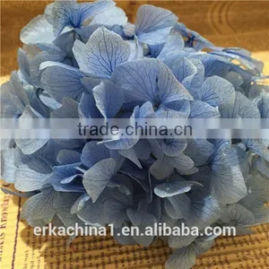 Preserved Flower Hydrangea Flower thumbnail-4