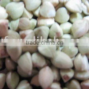 Raw Buckwheat Kernels& Raw Buckwheat Hull thumbnail-1