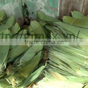 Dry Bamboo Leaf thumbnail-4