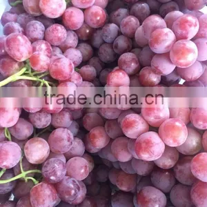 Chinese Globe Fresh Grape For Sale thumbnail-1