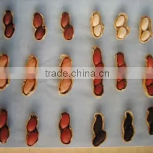 Competitive Price Of White/Red/Pink/Black Peanut Seed For Sale/Planting thumbnail-6
