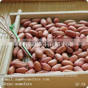Chinese HACCP Certification Long Type Blanched Red Skin Peanut Kernels thumbnail-5