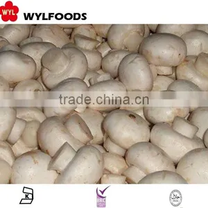 IQF China Price for Frozen Champignons Whole 2015 High Quality thumbnail-5