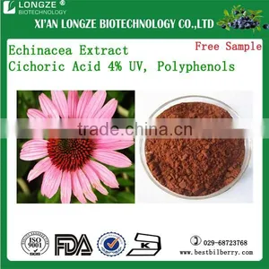 Natural Echinacea Extract 4%,echinacea Extract Powder thumbnail-1