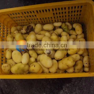 MSTP-80 Automatic Ginger Peeler,shallot Peeling Machine ,fish Skin Removing Machine With Stainless Steel CE Approved thumbnail-6