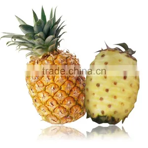 High Efficient Automatic Electric Pineapple Peeling Machine Pawpaw Skin Removing Machine Taro Peeler thumbnail-2