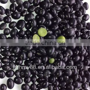 Medium Black Bean/black Soya Bean/black Soybean With Green Kernel thumbnail-1
