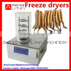 High Efficiency Freeze Dryer Price/Food Freeze Dryer Price/Fruit Drying Machine thumbnail-2