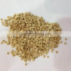 Hybrid Tomato Seeds Best Quality for Plant thumbnail-2