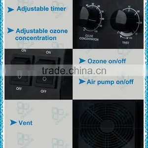 CE 3g 5g 6g 7g 220V CH-BP Portable Ozon Generator / Ozon Luftreiniger thumbnail-4