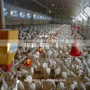 Poultry Farm Equipment For Chicken Feeder thumbnail-3