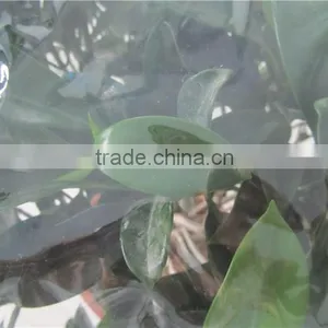 100% New Material UV Resistant Clear Plastic Protective Film for Agricultural thumbnail-3