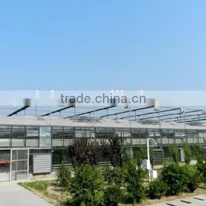 Aluminum Frame Glass Greenhouse PC Greenhouse With Aluminum Structure Single Span With Automatic Ventilation Greenhouse thumbnail-1