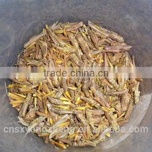 Freeze Dried Locusts Use for Pet Chicken Guinea Fowl and Blue Peacock and Mandarin Ducks thumbnail-5