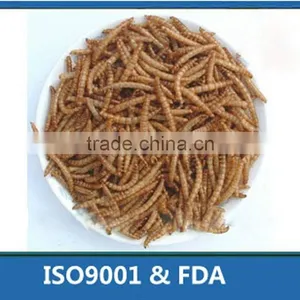 Fish Food,Koi Food Mealworms thumbnail-1
