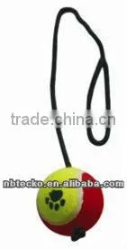 Funny & Lovely Traning Pet Toys thumbnail-1