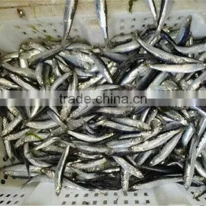 Anchovy Frozen on Board thumbnail-6