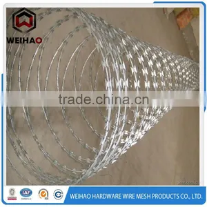 Razor Blade Barbed Wire Hot Selling in Australia thumbnail-2